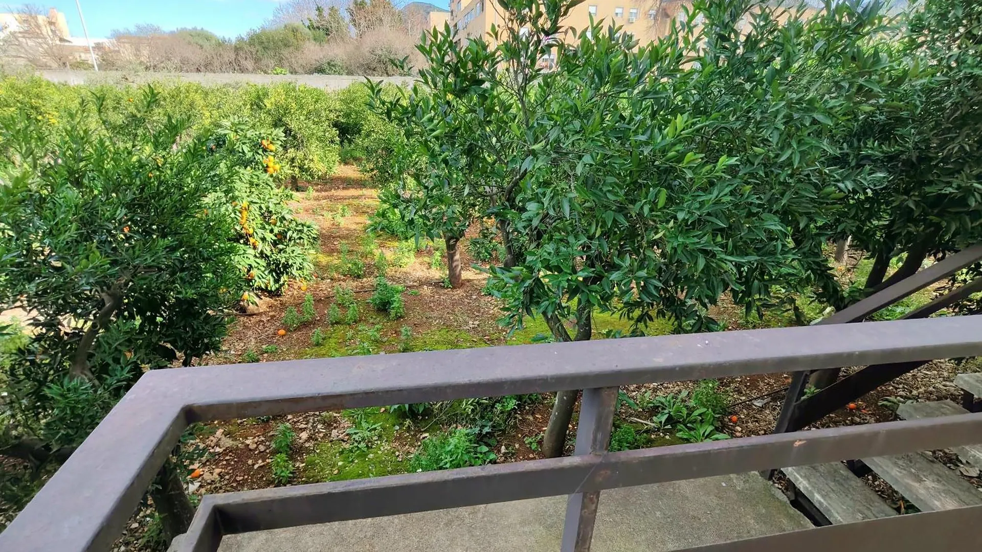 Giardino Delle Arance Luxury Rooms Palermo